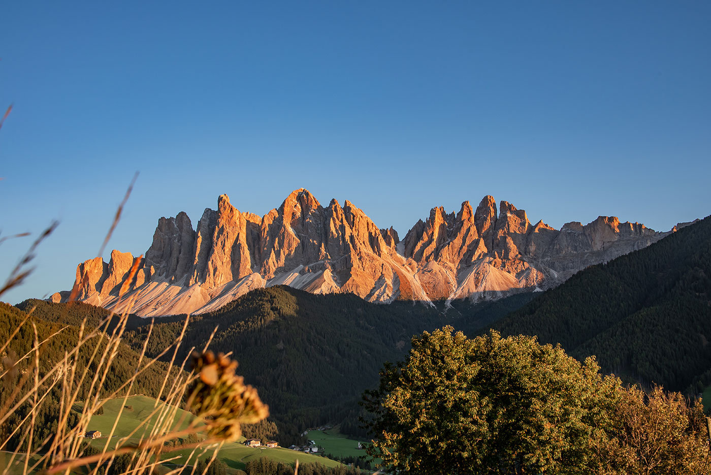 i.mog-suedtirol-urlaubsportal