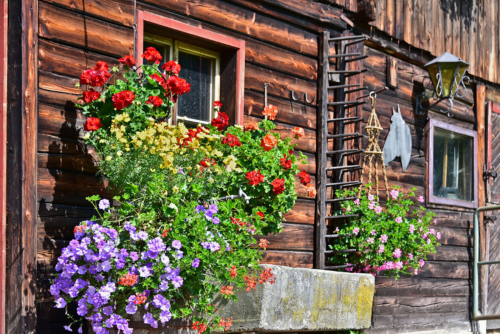 pension-pilsachhof